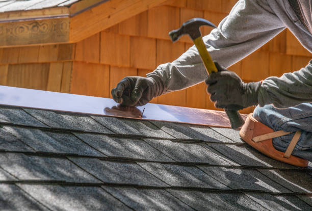 Roof Coating Services in Willow Springs, IL